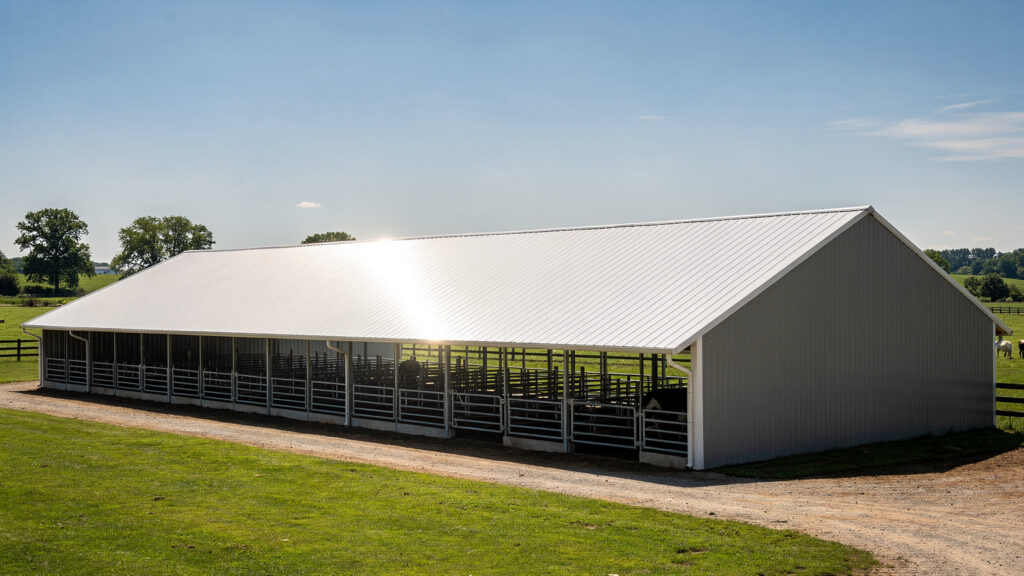 Cool roof stabulation : confort animal et toiture réfléchissante